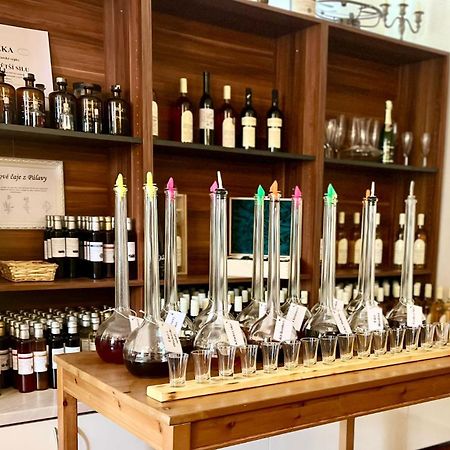 Hotel Panska Sypka Sedlec  Zewnętrze zdjęcie